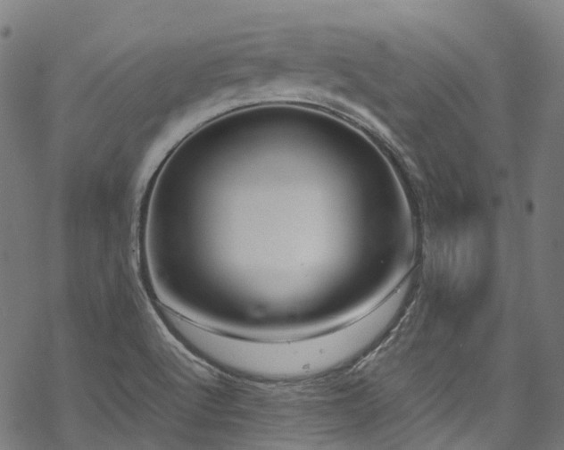 X0000070211512200605301349