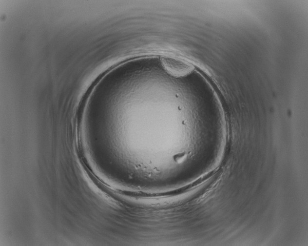 X0000070211515200605301349