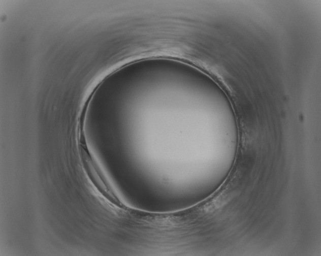 X0000070211516200605301349