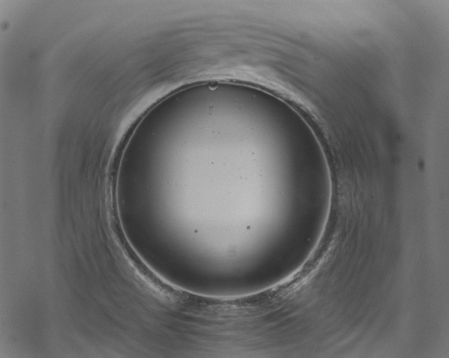 X0000070211517200605301349