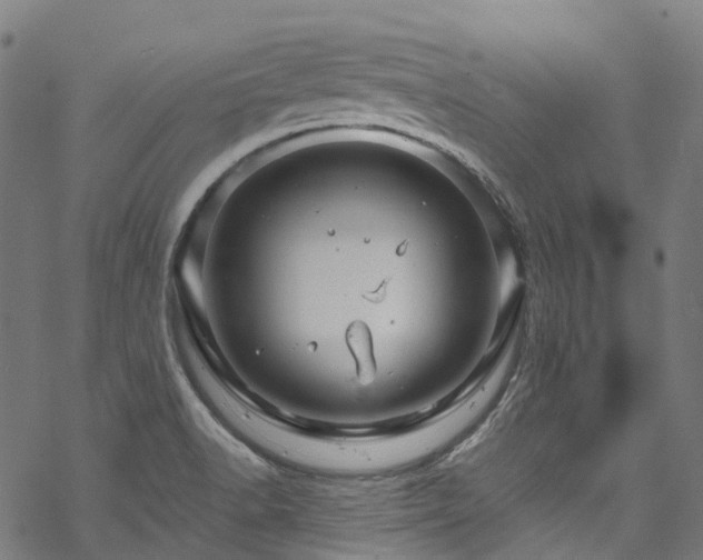 X0000070211518200605301349