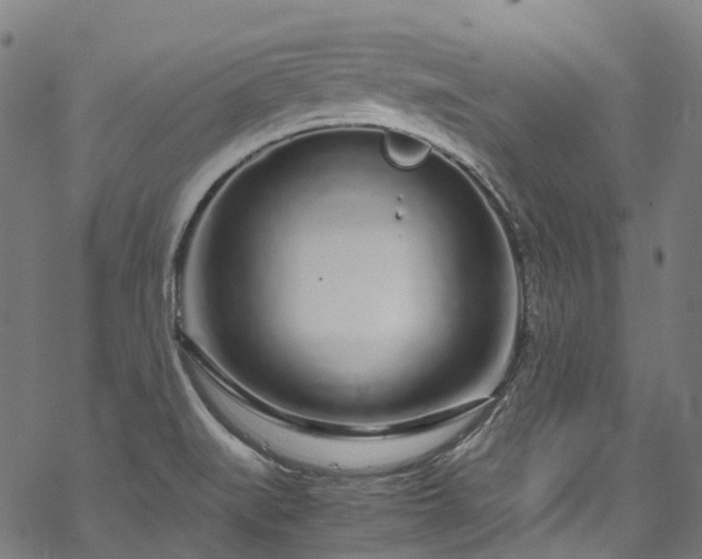 X0000070211519200605301349