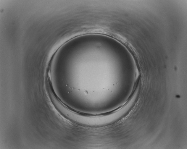 X0000070211520200605301350