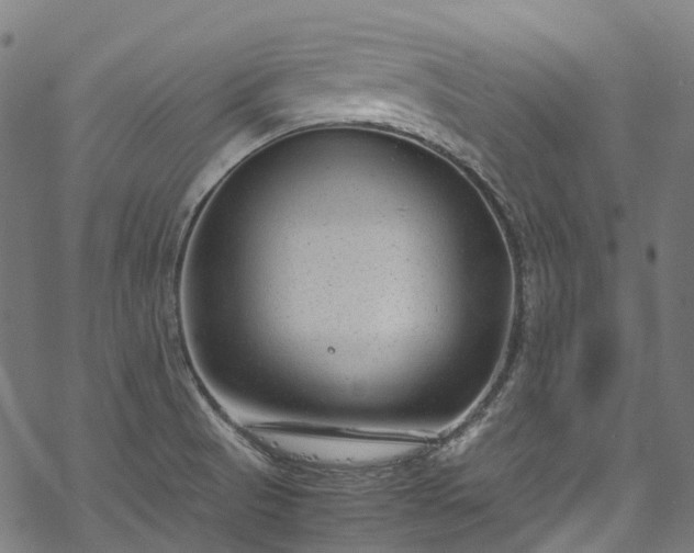 X0000070211521200605301350