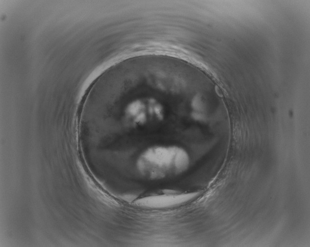 X0000070211522200605301350