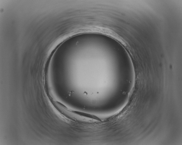 X0000070211523200605301350