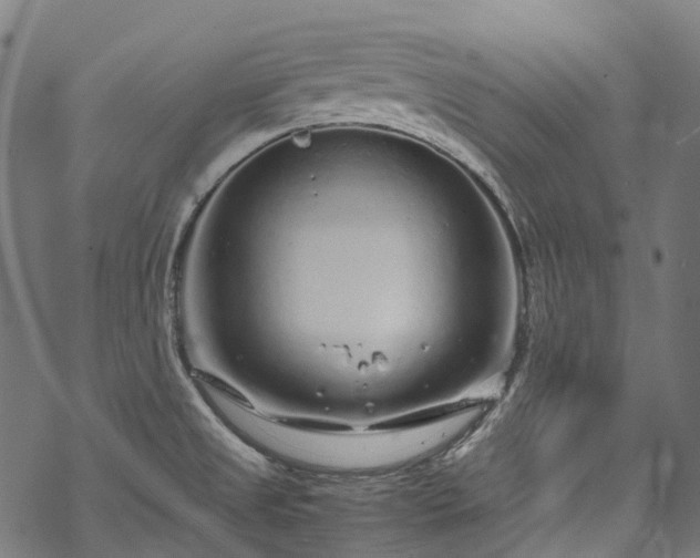 X0000070211525200605301350