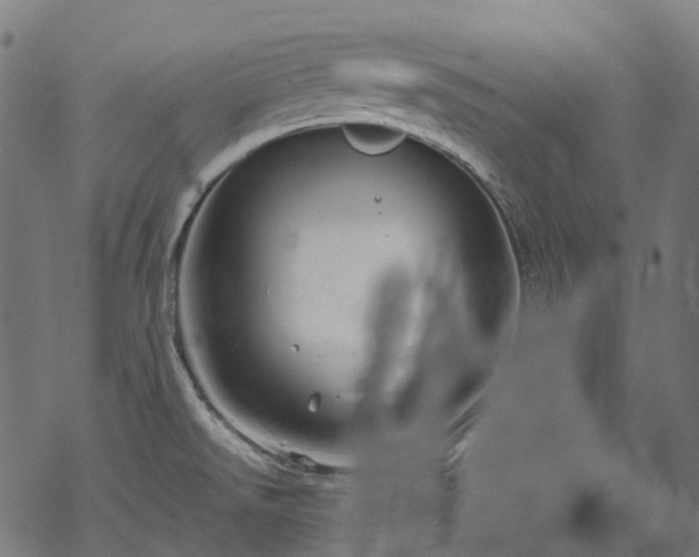 X0000070211526200605301350