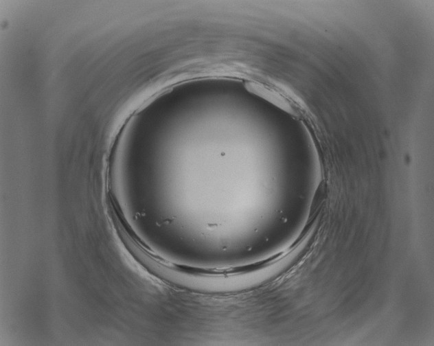 X0000070211528200605301350