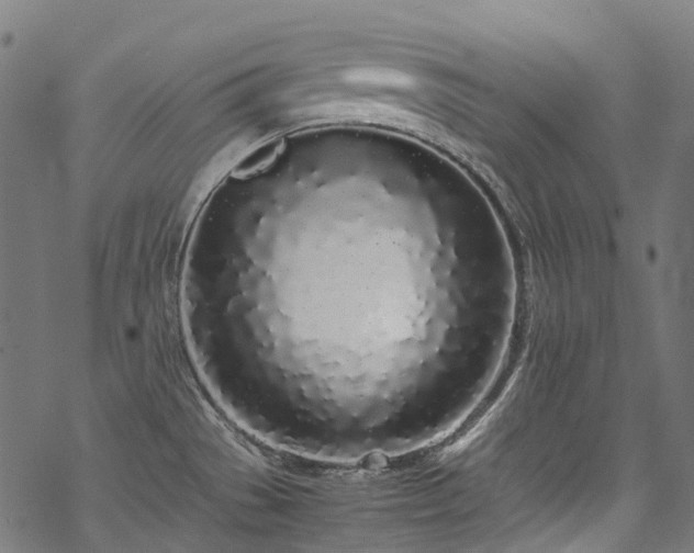 X0000070211529200605301350