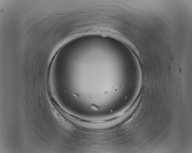 X0000070211530200605301350