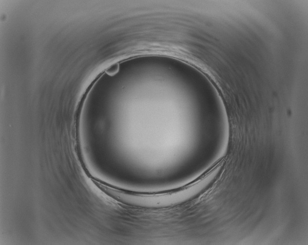 X0000070211531200605301350