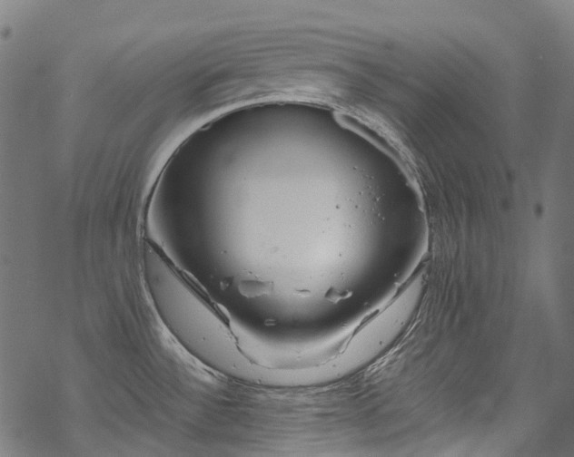 X0000070211532200605301350