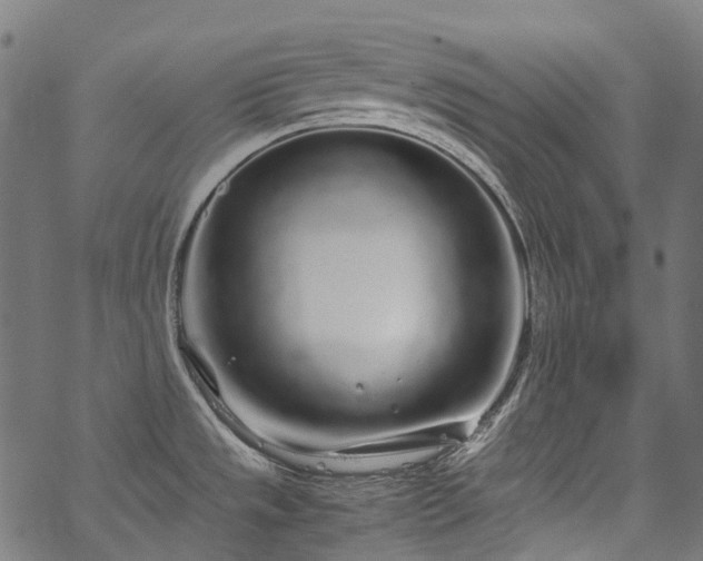 X0000070211533200605301350