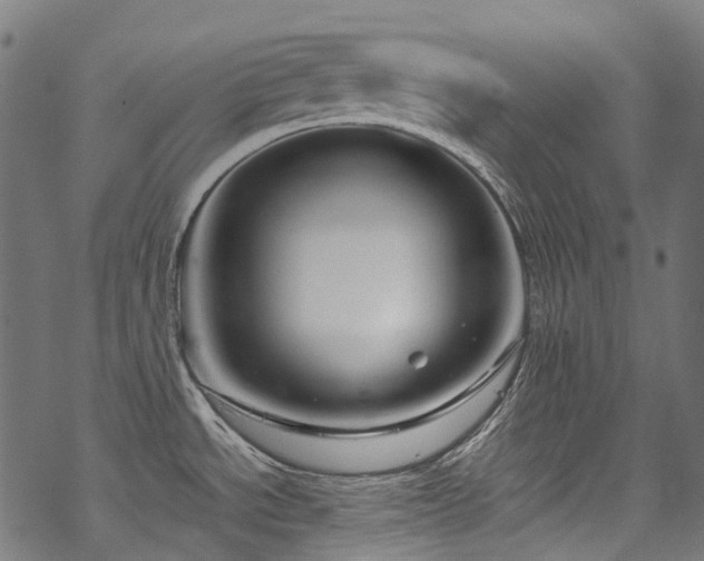 X0000070211534200605301350