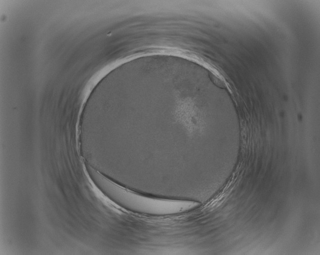 X0000070211535200605301350