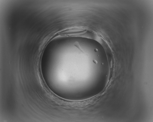 X0000070210001200606021307