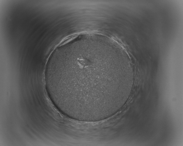 X0000070210002200606021307