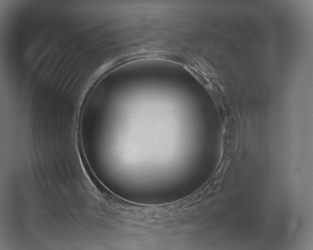 X0000070210003200606021307