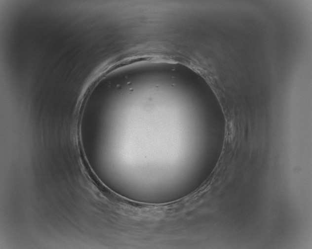 X0000070210004200606021307