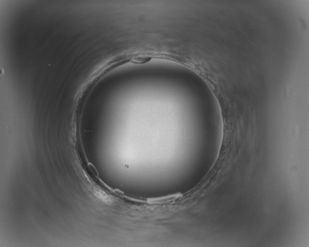 X0000070210005200606021307