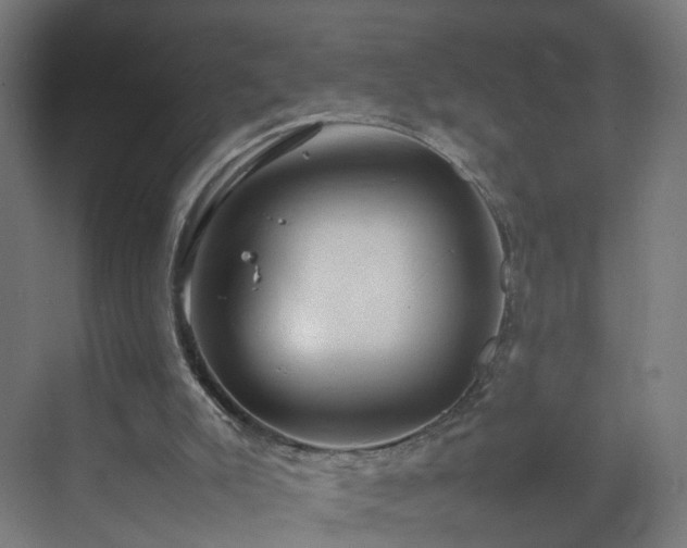 X0000070210007200606021307