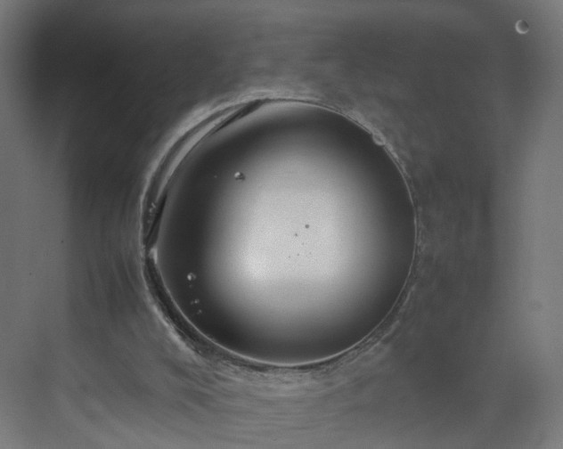 X0000070210008200606021307