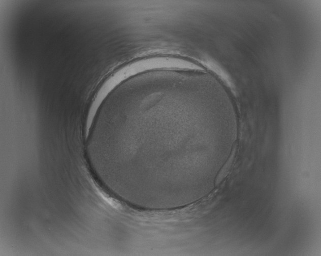 X0000070210009200606021307