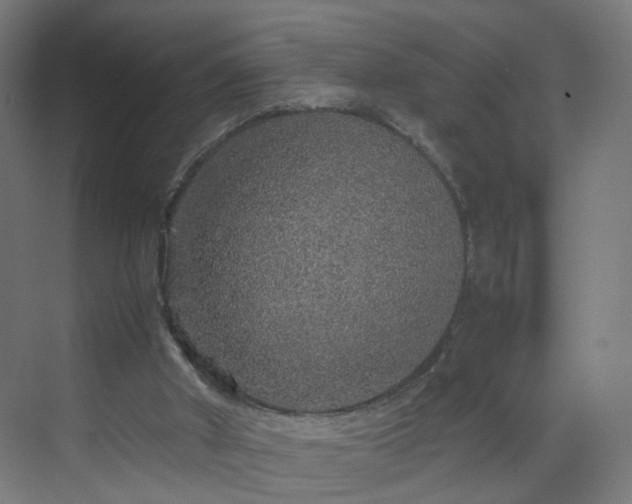 X0000070210010200606021307