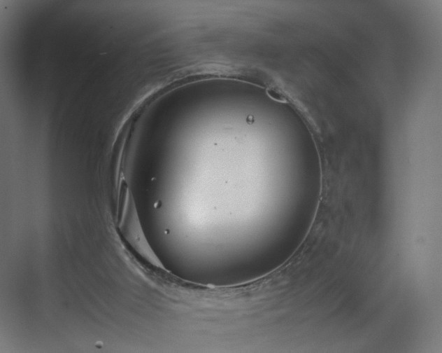 X0000070210011200606021307