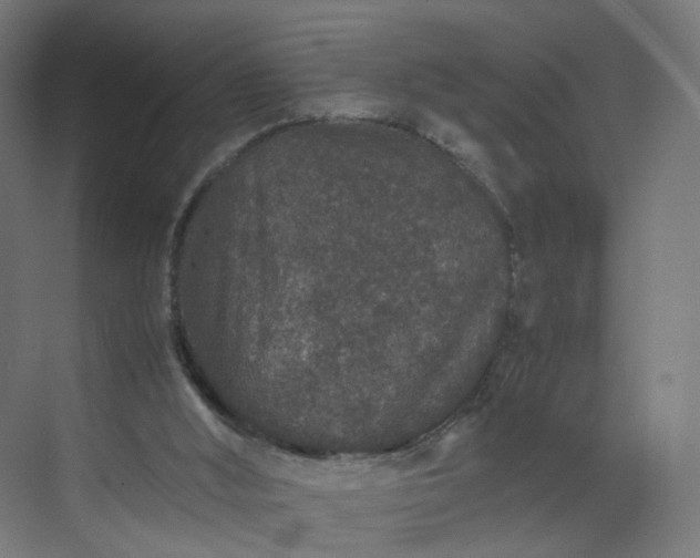 X0000070210012200606021307