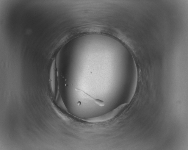 X0000070210013200606021307