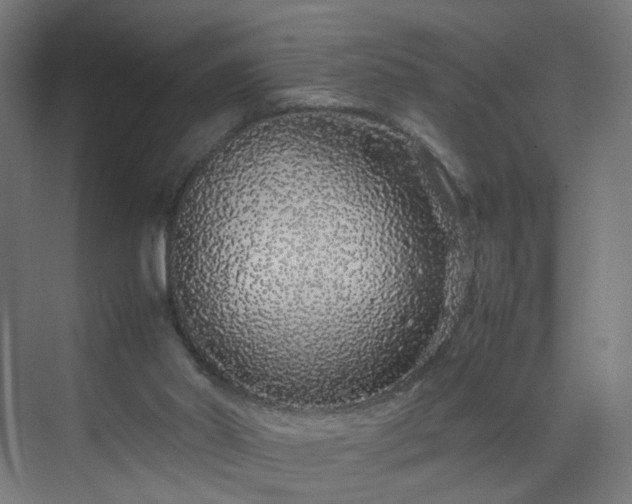 X0000070210014200606021307