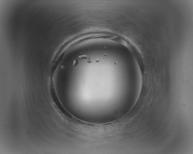 X0000070210015200606021307