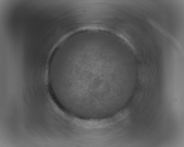 X0000070210016200606021307