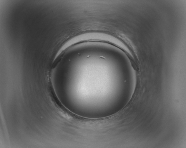 X0000070210017200606021307