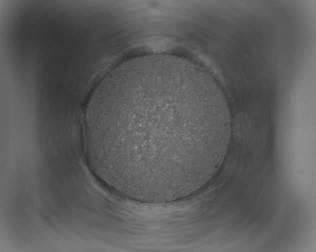 X0000070210018200606021307