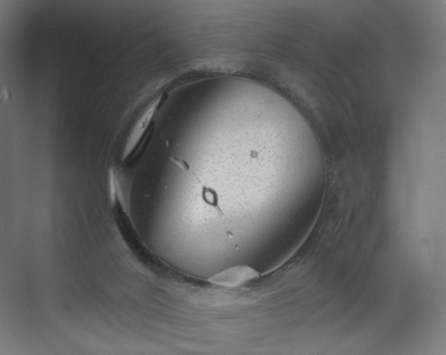 X0000070210020200606021307