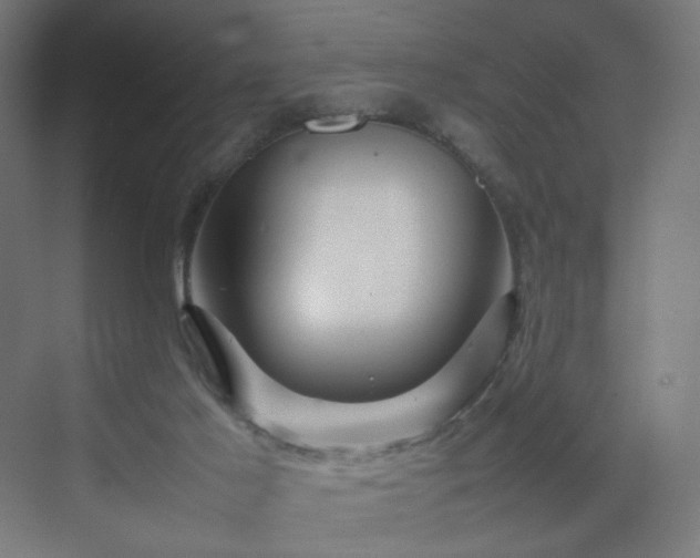 X0000070210021200606021307