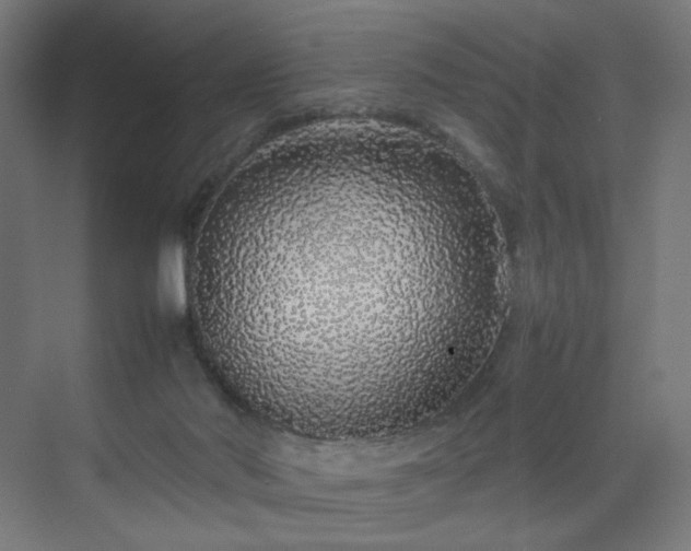 X0000070210022200606021307