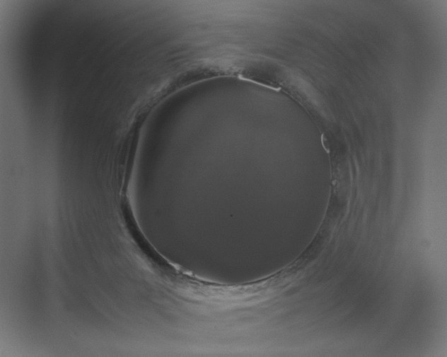 X0000070210023200606021307