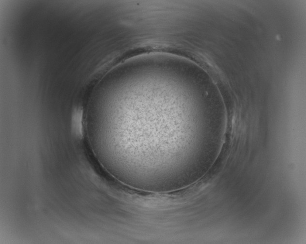 X0000070210024200606021307