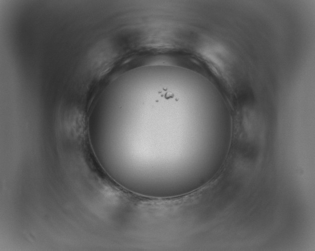 X0000070210025200606021307