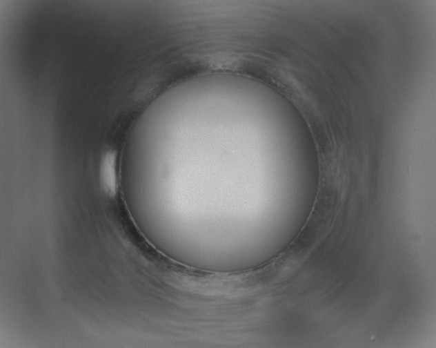 X0000070210028200606021307