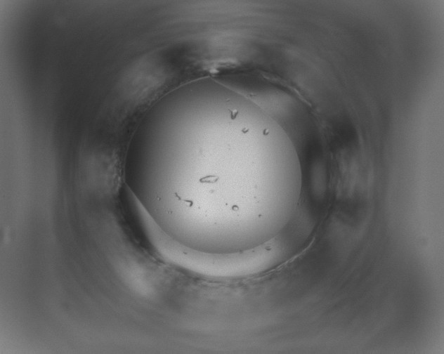 X0000070210029200606021307