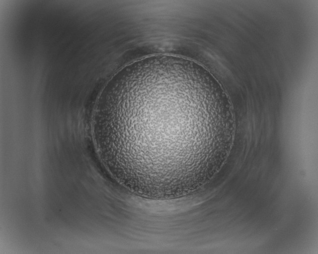 X0000070210030200606021307