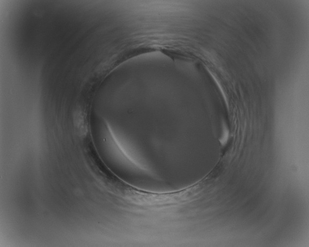 X0000070210031200606021307