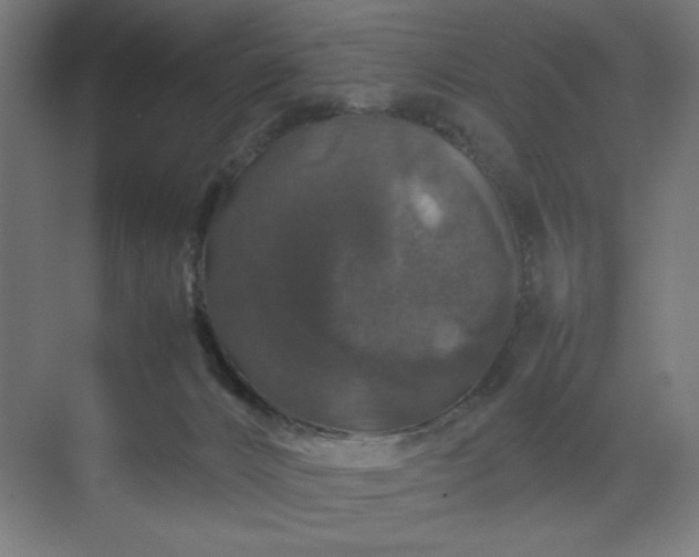 X0000070210032200606021307