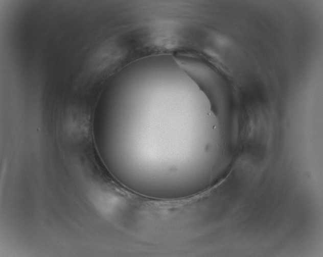 X0000070210033200606021307