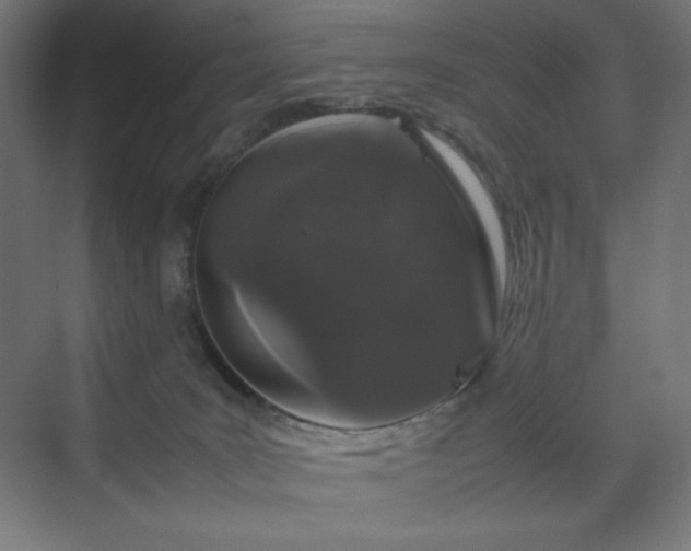 X0000070210035200606021307